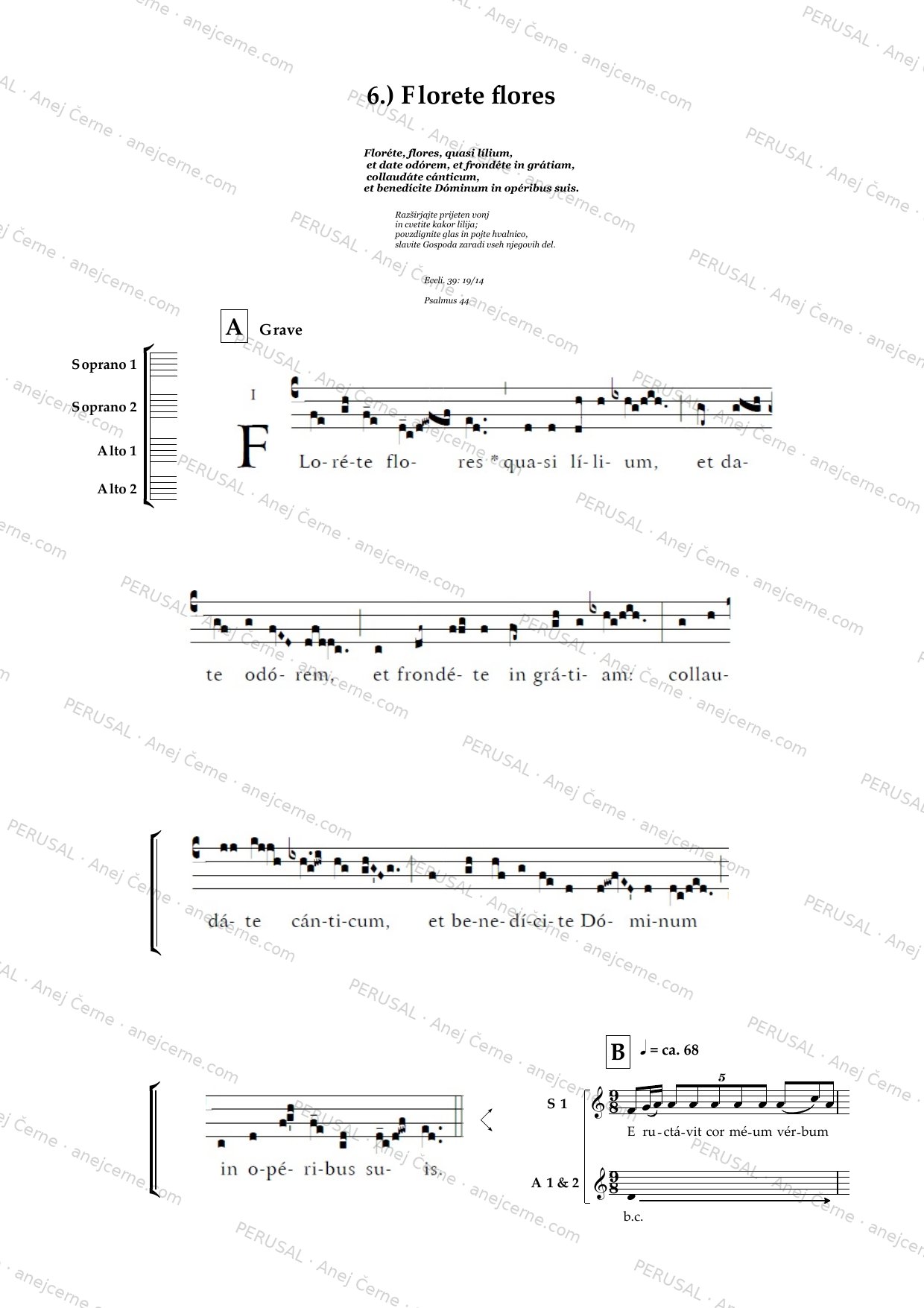 Circum tempus — score preview, page 6