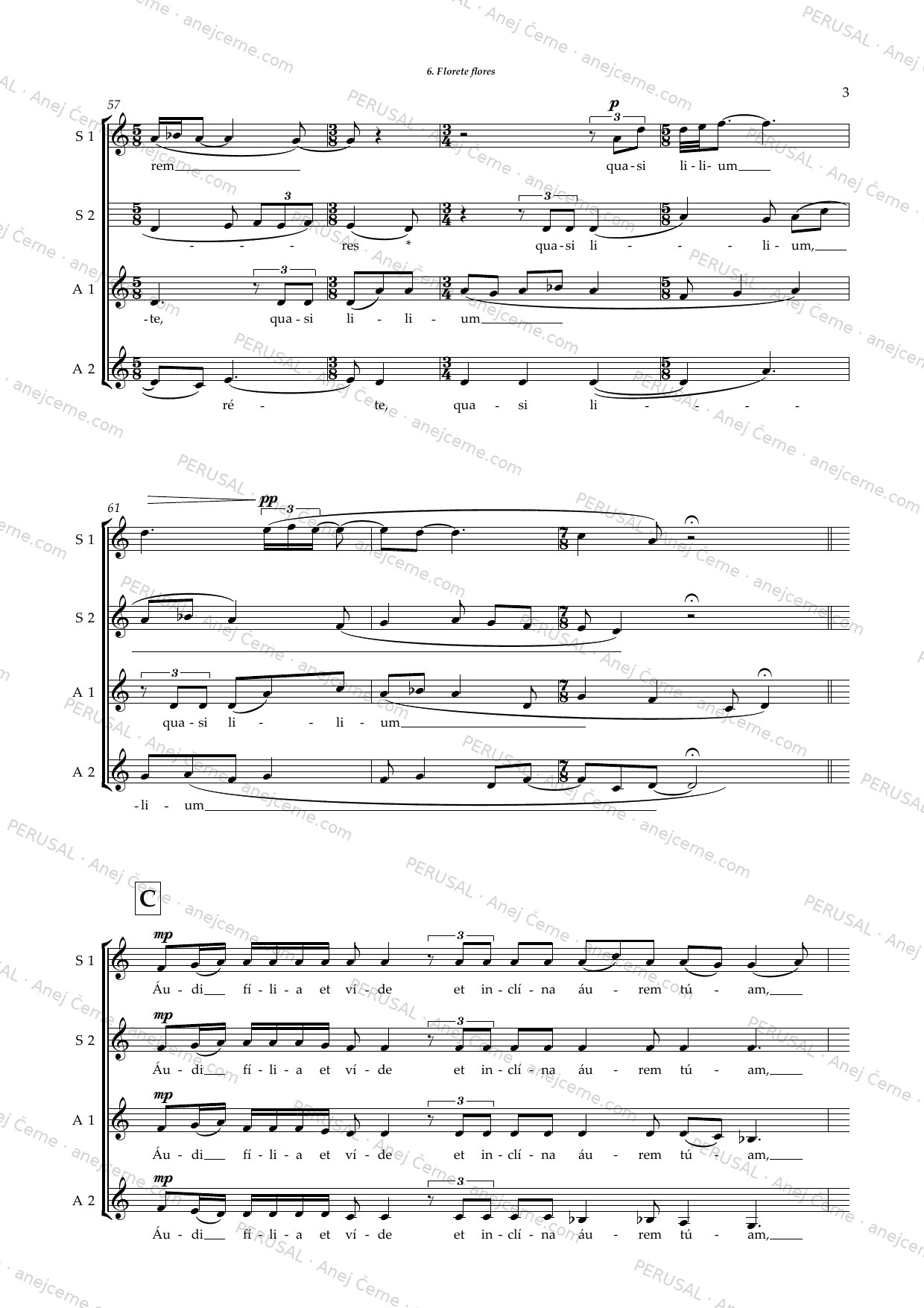 Circum tempus — score preview, page 7