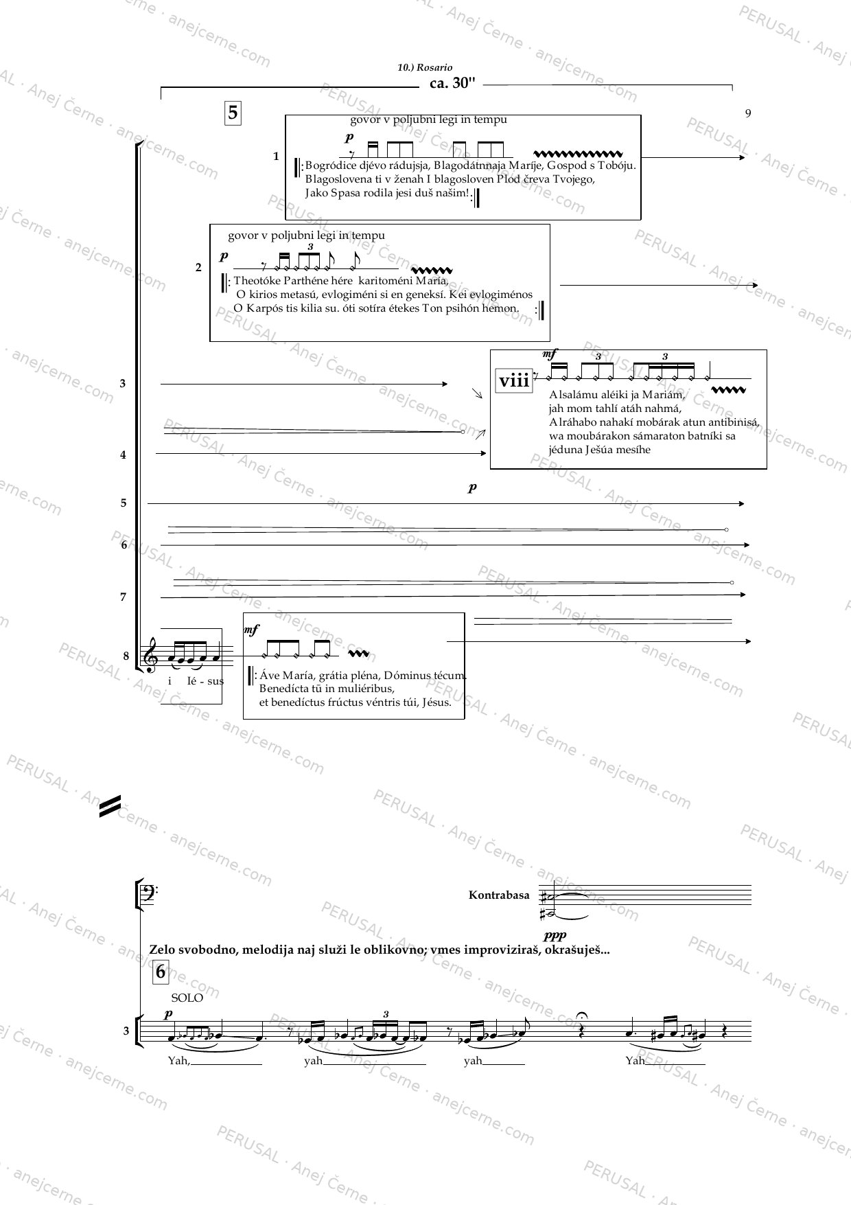 Circum tempus — score preview, page 17