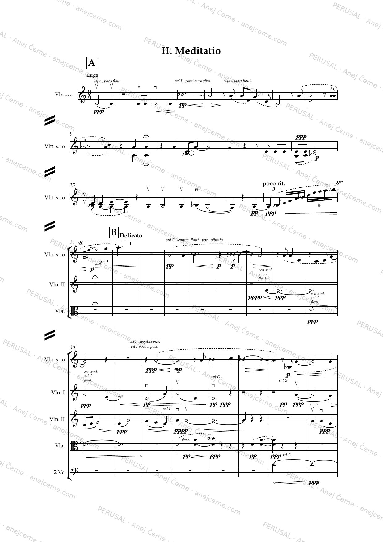 Circum tempus — score preview, page 20