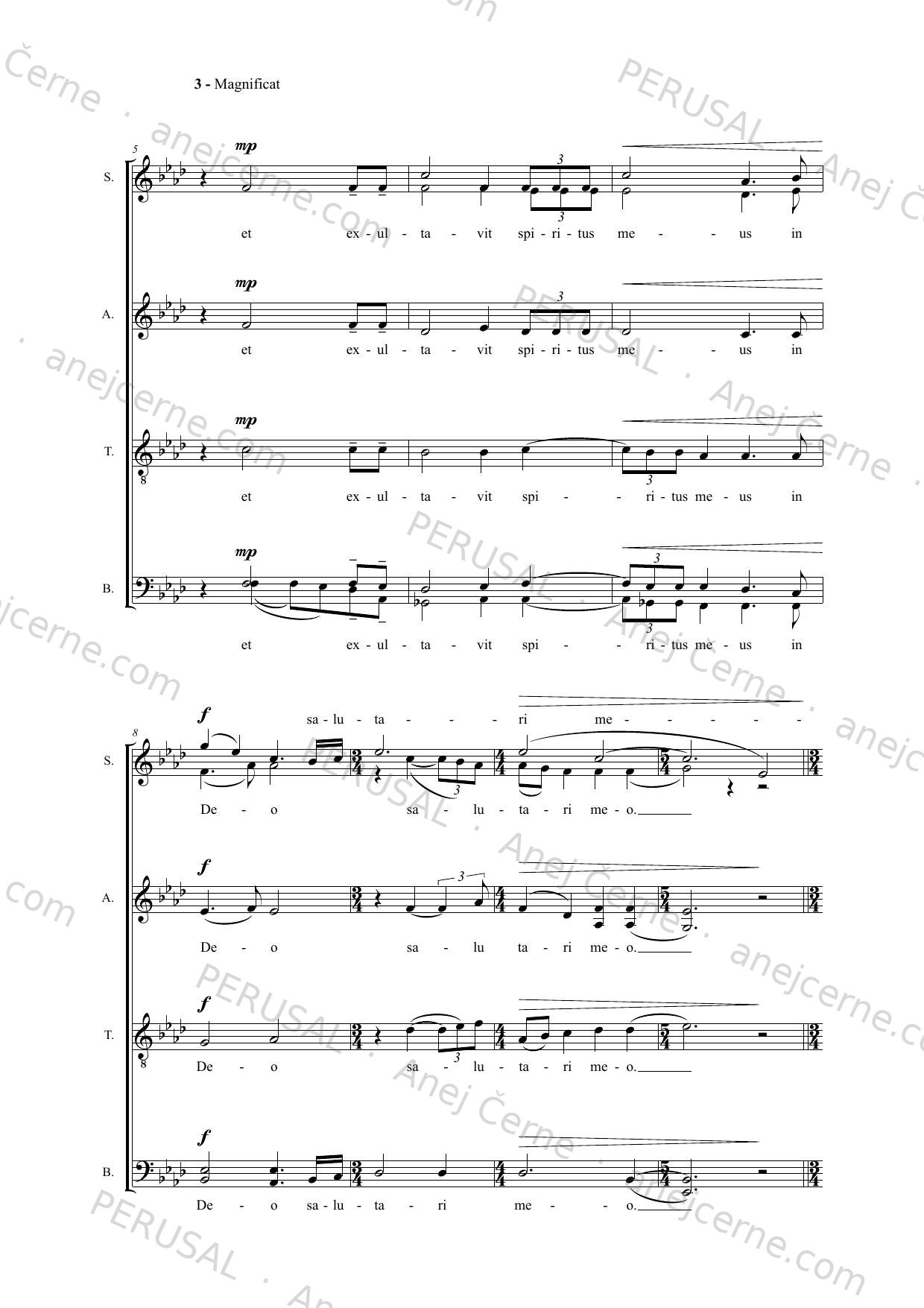 Magnificat — score preview, page 2